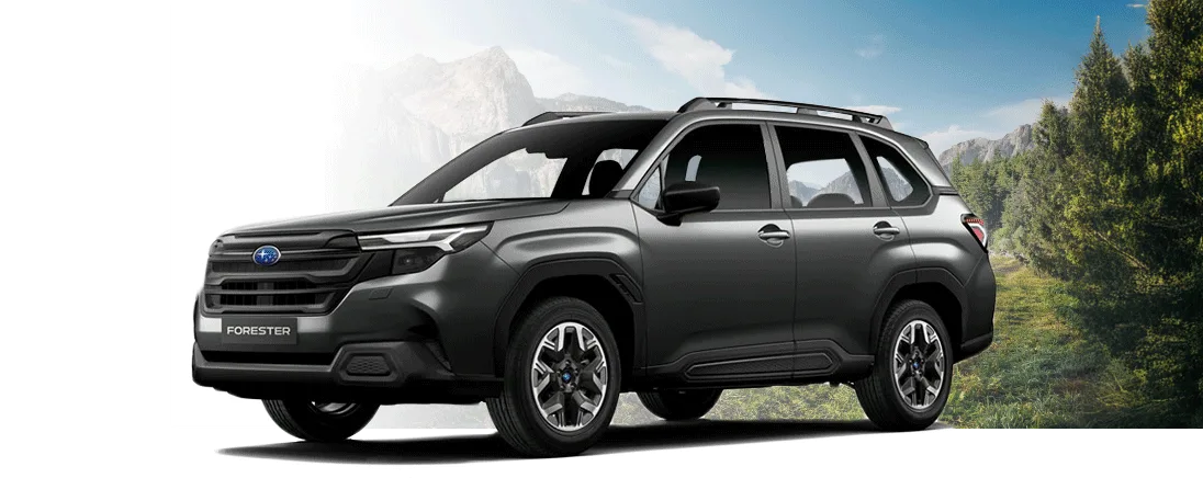 Forester - Gris Oscuro