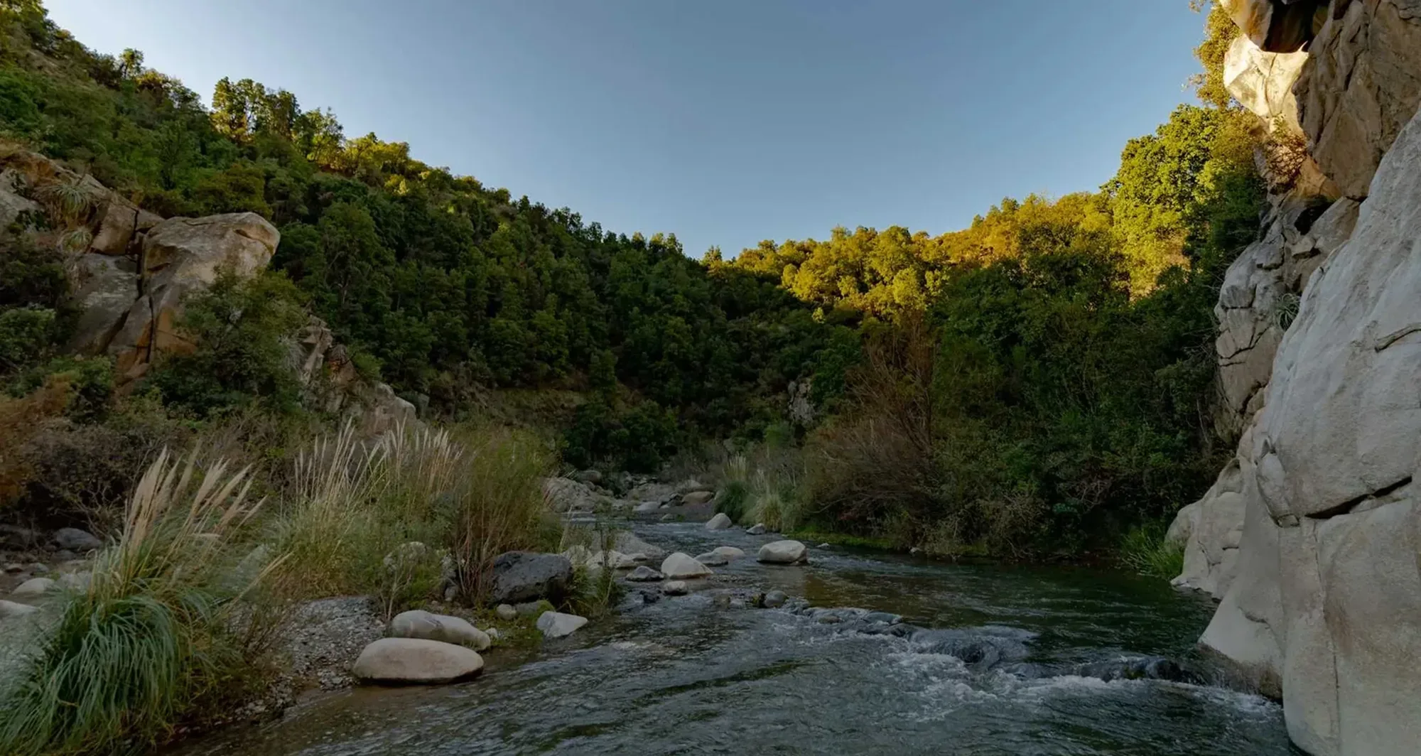 COMPROMETIDOS CON EL MEDIO AMBIENTE