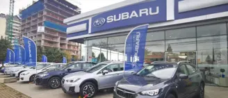Salazar Israel Temuco Plaza Banderas