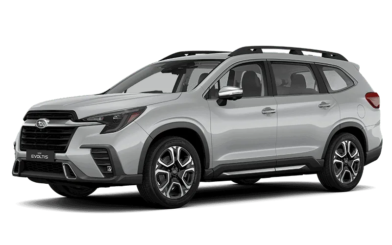 EVOLTIS TOURING GARDX - Plateado Hielo Claro Exterior